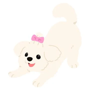 Simple and cute flat colored illustration of Maltese Dog being playful Stock Illustration