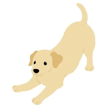 Simple and cute flat colored illustration of Labrador Retriever being playful Stock Illustration