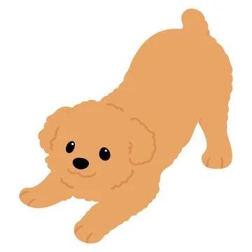 Simple and cute flat colored illustration of Chipoo being playful Stock Illustration