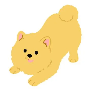 Simple and cute flat colored illustration of Pomeranian being playful Stock Illustration