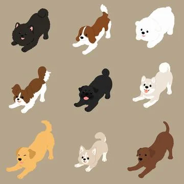 Simple and cute flat colored illustration of dogs being playful Stock Illustration