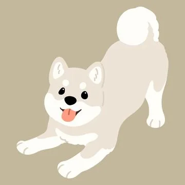 Simple and cute flat colored illustration of white Shiba Inu being playful Stock Illustration