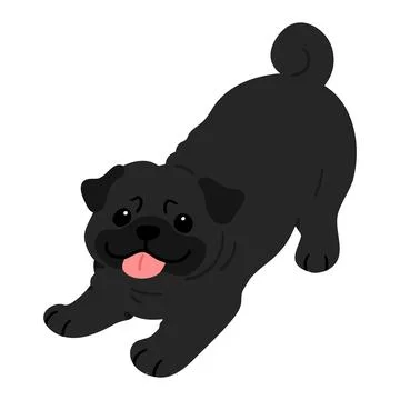 Simple and cute flat colored illustration of black pug being playful Stock Illustration
