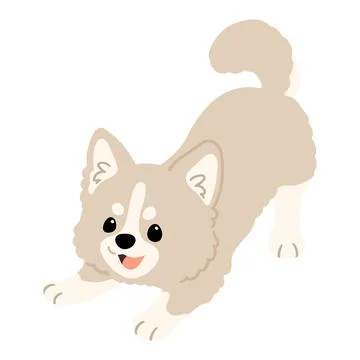 Simple and cute flat colored illustration of white Chihuahua being playful Stock Illustration