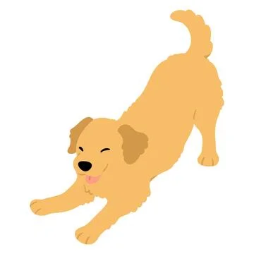 Simple and cute flat colored illustration of Golden Retriever being playful Stock Illustration