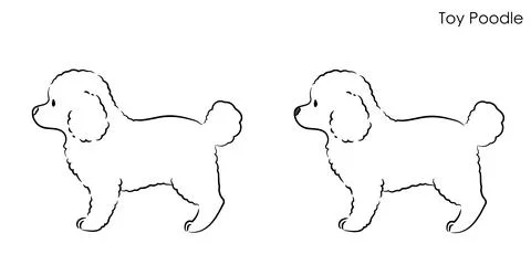 Simple and cute hand drawn line art illustration of Toy Poodle in side view Stock Illustration