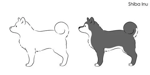 Simple and cute hand drawn line art illustration of Shiba Inu in side view Stock Illustration