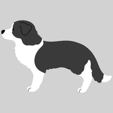 Simple and cute illustration of Border Collie in side view flat colored Stock Illustration