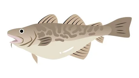 A simple and cute illustration of Cod (Tara). Food and fish vector material. Stock Illustration