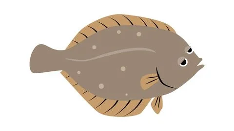 A simple and cute illustration of a Flatfish (Karei). Food and fish vector .. Stock Illustration