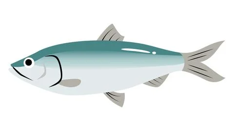 A simple and cute illustration of Herring (Nishin). Food and fish vector ma.. Stock Illustration