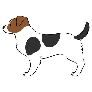 Simple and cute illustration of Jack Russell Terrier in side view Stock Illustration