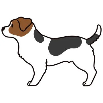 Simple and cute illustration of Jack Russell Terrier in side view Stock Illustration