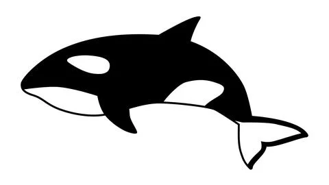 A simple and cute illustration of a killer whale (Orca). Vector image of se.. Ilustración de archivo