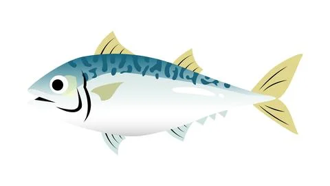 A simple and cute illustration of Mackerel. Food and fish vector material. Stock Illustration