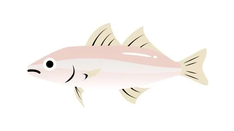 A simple and cute illustration of Whiting (Kisu). Food and fish vector mate.. Stock Illustration