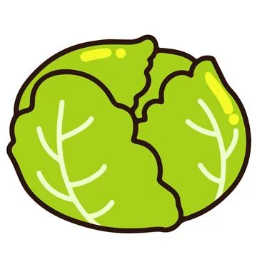 Simple and cute outlined green cabbage Stock Illustration
