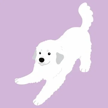 Simple and cute playful white Great Pyrenees illustration flat colored Stock Illustration