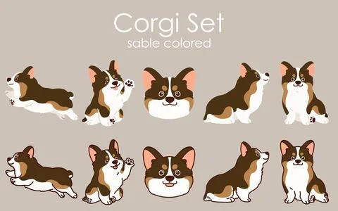 Simple and cute sable colored Corgi dog illustrations set Stock Illustration