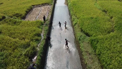 Simple and exciting game in the countryside Stock-Footage 140951090