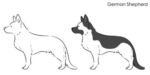 Simple and hand drawn line art illustration of German Shepherd in side view Stock Illustration