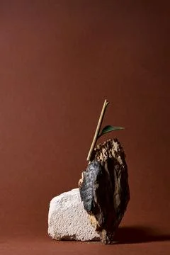 A simple and minimalist composition with a stone, burnt wood and a fresh gr.. Stock Photos