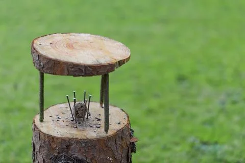 Simple and minimalist do it yourself homemade bird feeder made of tree trunk  Stock Photos