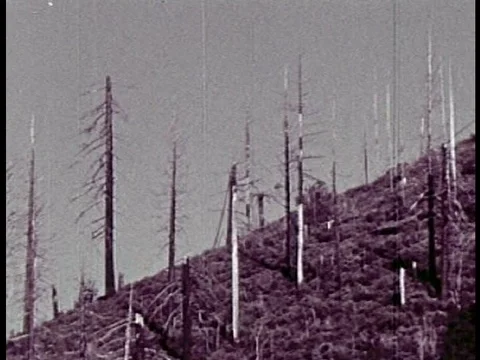 A simple and pro active campaign to stop the constant littering of America's Stock Footage 75291709