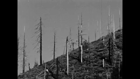 A simple and proactive campaign to stop the constant littering of America's Stock Footage 95283811