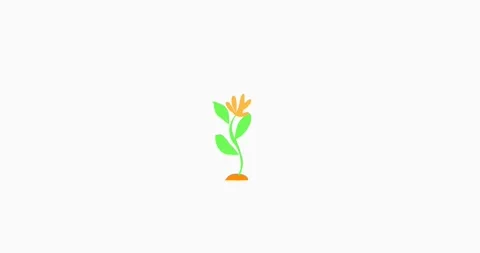 Simple animation hand drawn drop water and grow up plant Stock Footage 242784279