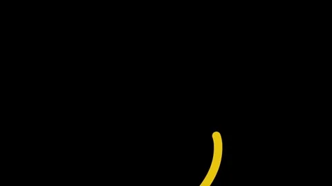 Simple animation for the loading screen display. Stock Footage 256903465