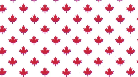 A simple animation of a red maple leaf (a repeated pattern, floating to Stock Footage 117425260