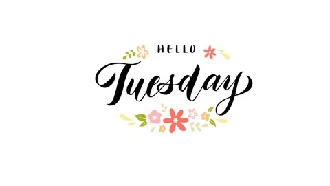 Simple Animation of Week Days, Motion Date Loop, Alpha Background Stock Footage 314913431