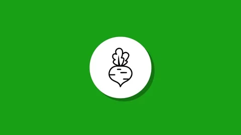 Simple animation of white circle morphing into beet root icon on green back.. Stock Footage 329272984