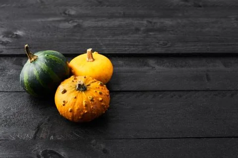 Simple autumn background. Stock Photos