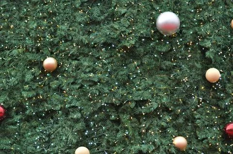 Simple background of christmas pine tree surface texture Stock Photos