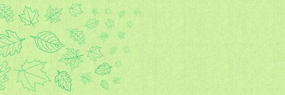 A simple banner design featuring minimalist flora, plants, and leaves motifs Stock Illustration