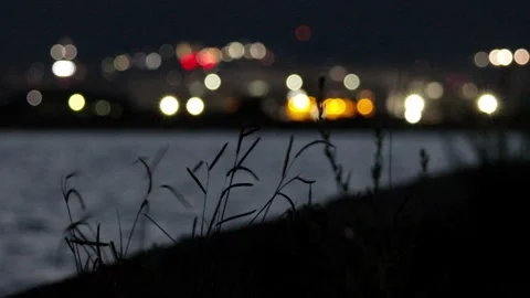 Simple but beautiful city lights ocean and dallisgrass swaying at night,4K 库存影片 343562747