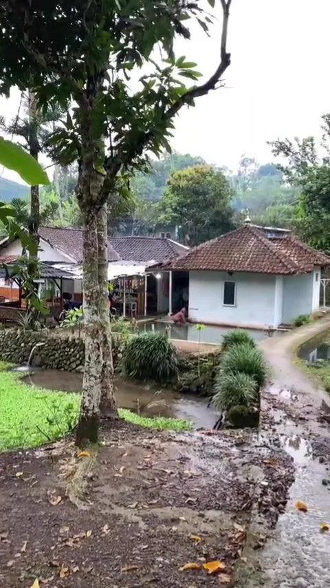 Simple but beautiful Stock Footage 308272410