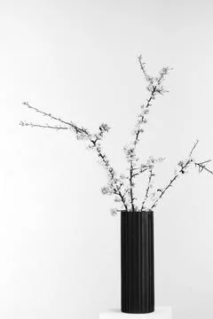 Simple beauty Stock Photos
