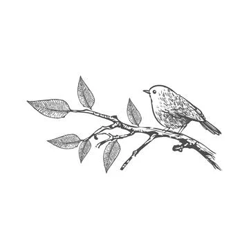 Simple bird in the branch hand draw style logo and vector illustration Stock Illustration