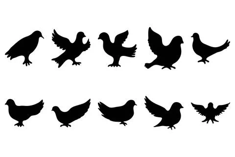 Simple bird illustration set design Stock Illustration