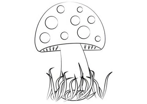 Simple black and white drawing of a mushroom in grass Stock Illustration