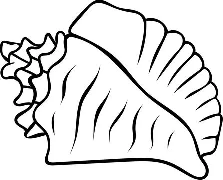 Simple black and white icon set as a doodle, a detailed seashell in sketch .. Stock Illustration
