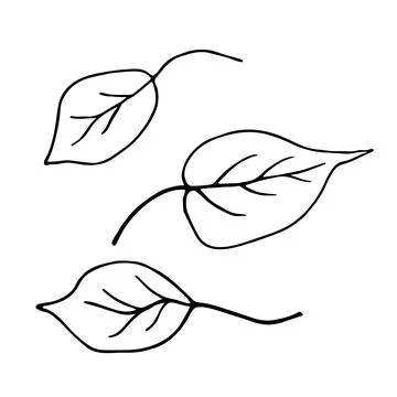Simple black and white leaf doodle set featuring in minimal line art style. Illustrazione stock