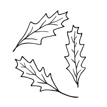 Simple black and white leaf doodle set featuring in minimal line art style. Illustrazione stock