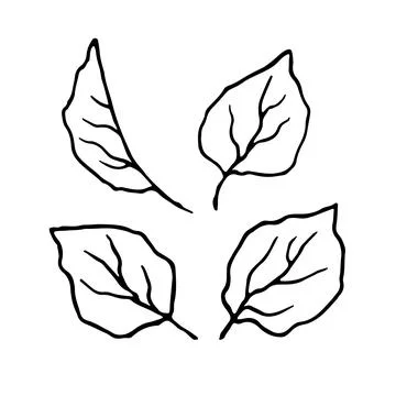 Simple black and white leaf doodle set featuring in minimal line art style. 스톡 일러스트