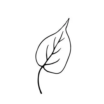 Simple black and white leaf doodle featuring in minimal line art style. Stock Illustration