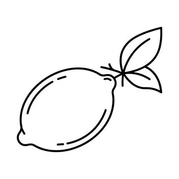 Simple black and white line of a single lemon with two leaves attached to t.. Stock Illustration