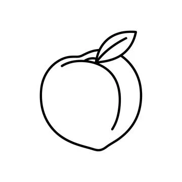 Simple black and white line of a single peach fruit with a leaf on a white .. イラスト素材